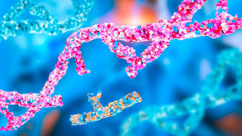 This Week in The Preamble: The Age of Medical Miracles, and Their Costs